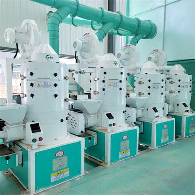 New Rice Polishing Machine New Rice Polishing Machine