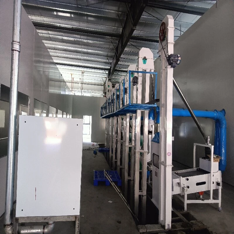 100 Tons Combined Rice Mill
