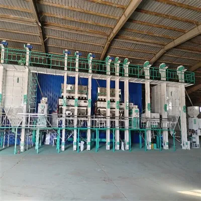 Small Combination Rice Mill